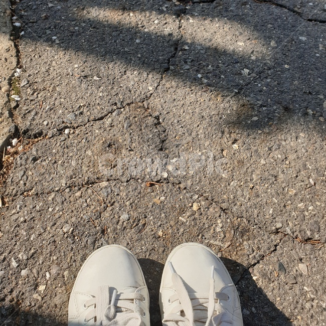 운동화,도로,벚꽃잎,그림자,흰,봄,햇빛