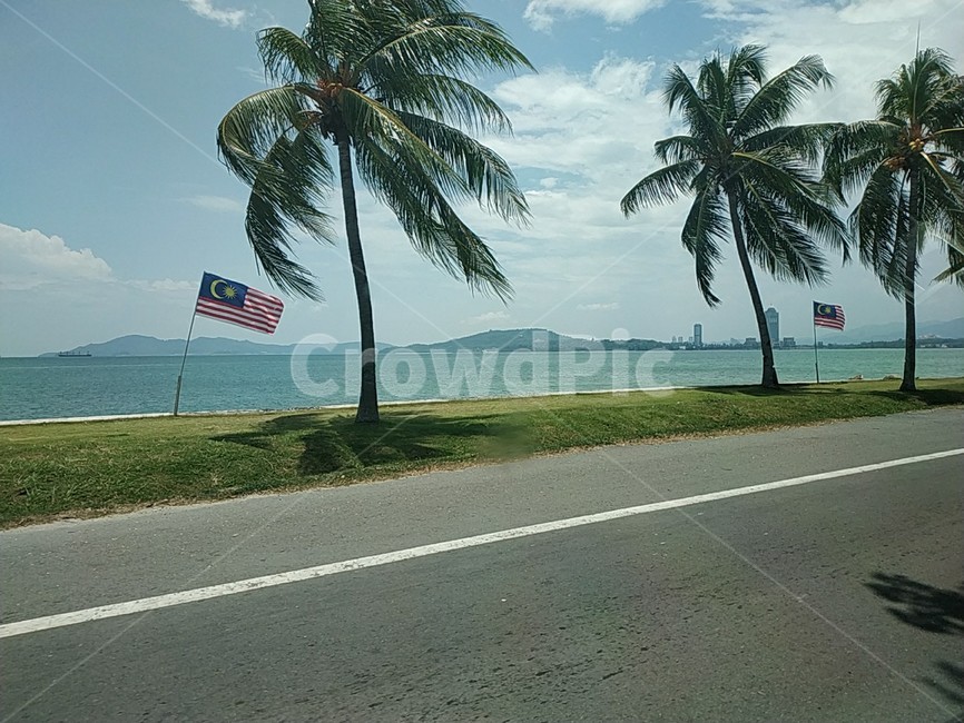 해변,야지수,바다,동남아,길,sea,coconuttree,자연,풍경,nature,landscape