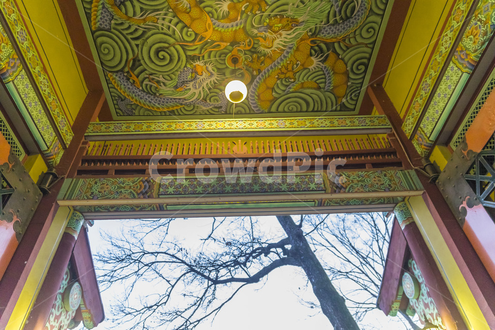 단청,천정벽화,사찰,천정미술,문양,무늬,색채,한국전통,한국문화,korean traditional,korean culture,건축물,건물외관,exterior,building,structure,architecture,construction