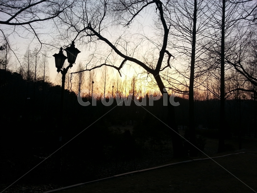 해질녘,석양,황혼,나무,실루엣,저녁하늘,일몰,eveningsky,sunset,settingsun,eveningsun,가로등,tree,silhouette,땅거미,나목,겨울나무,앙상한,나뭇가지,branch,감성,sensitivity,sensibility,자연,nature,풍경,scenery,landscape,bare,thin,쓸쓸한,외로운,스산한,lonely,streetlamp,solitary,멜랑꼴리,melancholy,어두운,dusk,twilight,실루엣,그림자,silhouette,shadow