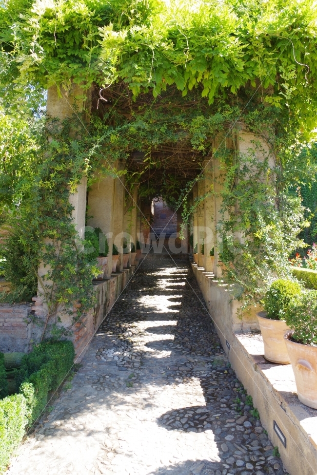 	여행,스페인,그라나다,알함브라travel,spain,grananda,alhambra,정원,garden,식물,자연,plants,nature,해외,외국,세계,foreign,oversea,world