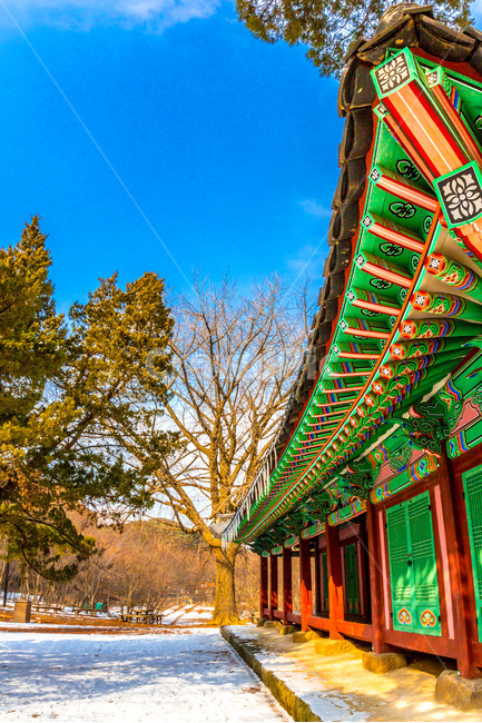 단청,기와,선,패턴,건축,문화유산,한국전통,한국문화,korean traditional,korean culture,건축물,건물외관,exterior,building,structure,architecture,construction
