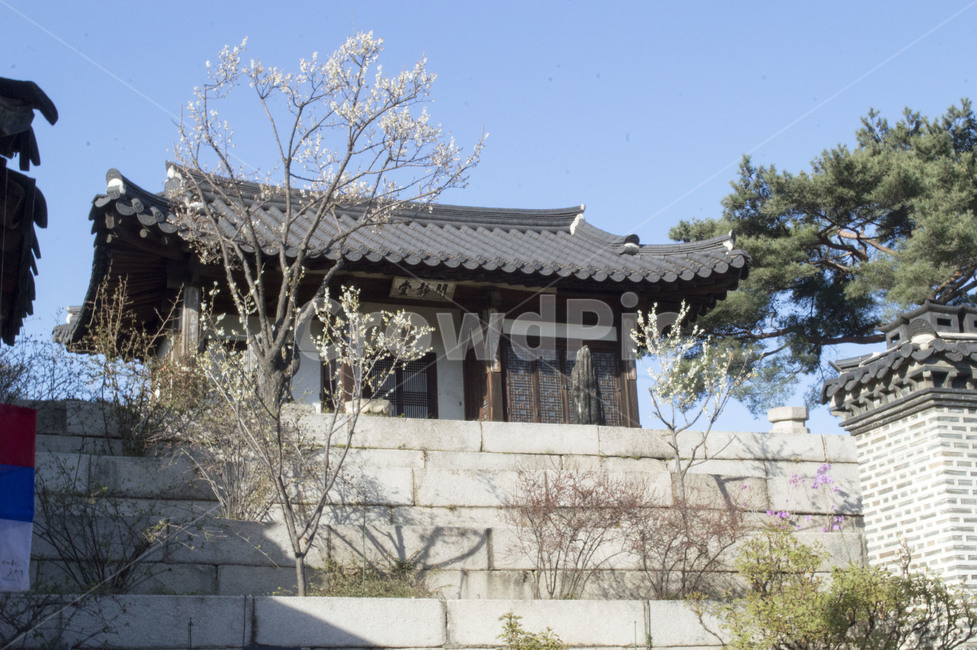 배경,한복,풍경,꽃,산책,하늘,창덕궁,궁,경복궁,광화문,사유지