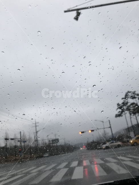 전라남도,여수,죽림,비,풍경,도로,비,비오는날,rain,rainy,교통,교통수단,traffic,transportation