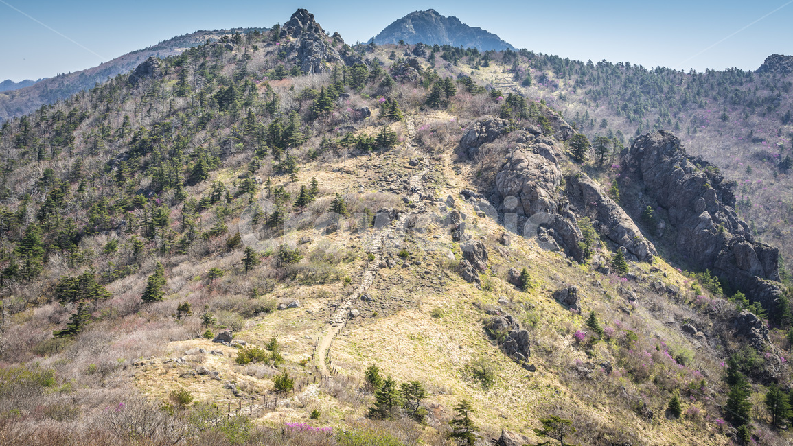 산,지리산,봄,철죽,등산,자연,한국자연경관,한국자연풍경,spring,landscape,koreanaturelandscape