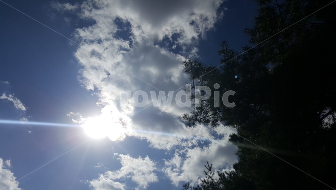 구름,하늘,풍경,힐링,cloud,sky,healing,빛,나무,tree,햇빛,가을,landscape