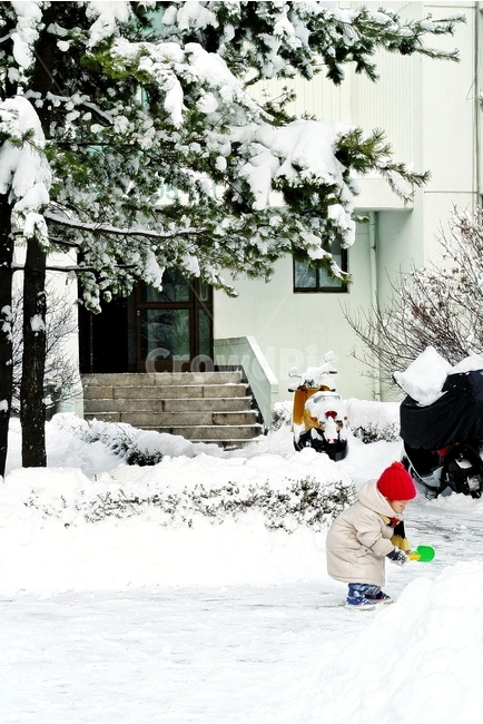 겨울,눈,아이,빨간모자,winter,snow,겨울,계절,winter,season,어린이,어린아이,child,children,kid