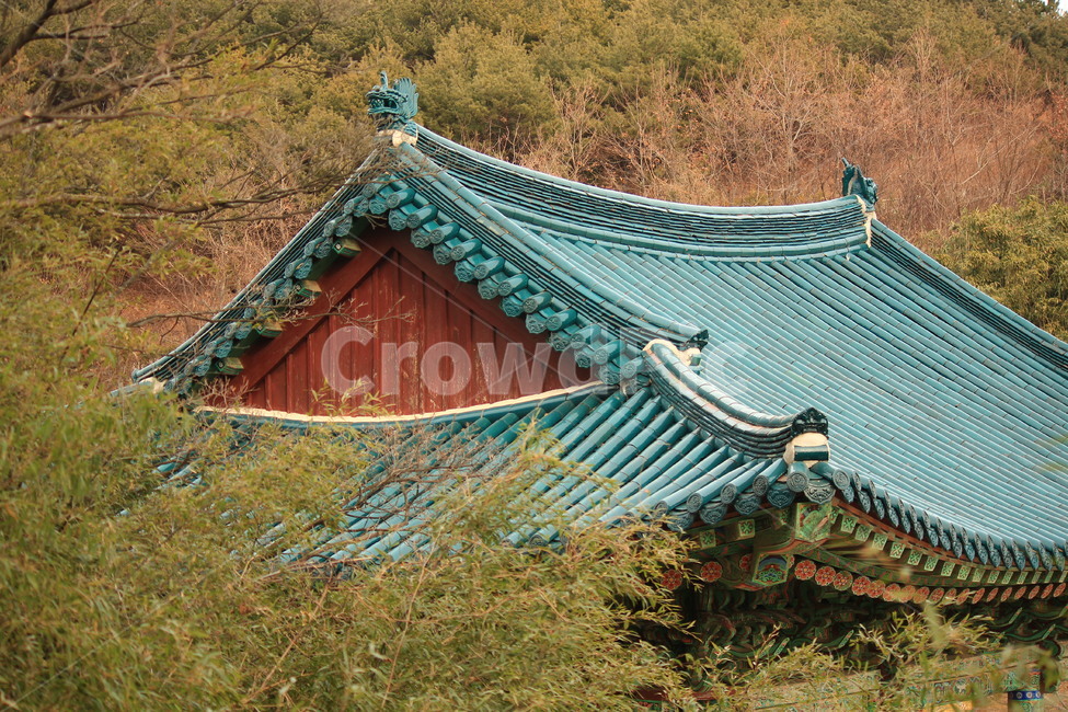 사찰,한국랜드마크,풍경,절,landmark,korean,temple,양양,기와,한국전통,한국문화,korean traditional,korean culture,종교,신앙,religion,belief,faith,건축물,건물외관,exterior,building,structure,architecture,construction