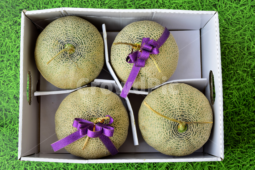 멜론,메론,과일,열매,열대과일,리본,박과,박스,melon,fruit,food,plant,ribbon,box,음식,식재료,요리,food,cook,meal,dishes,food reserves,과일,열매,fruit