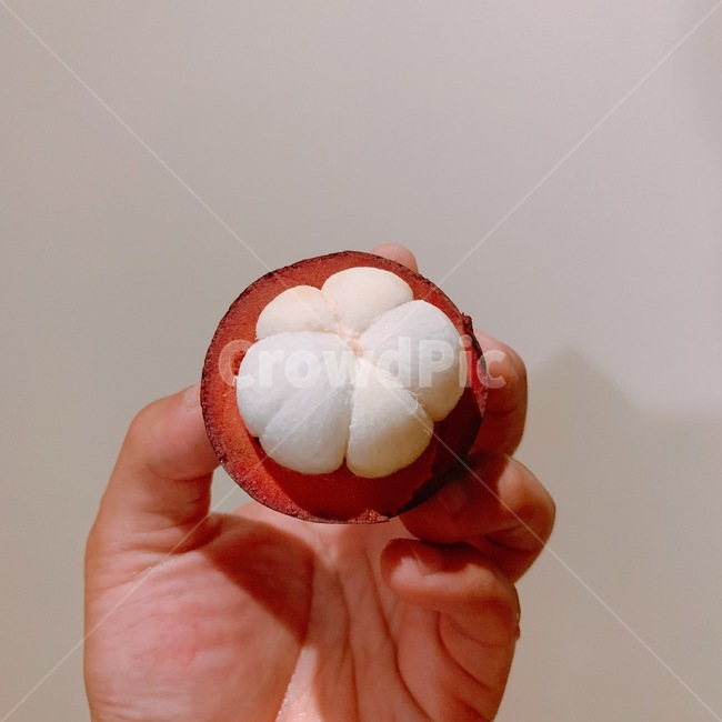 과일,망고스틴,음식,food,fruit,mangosteen,과일,열매,fruit