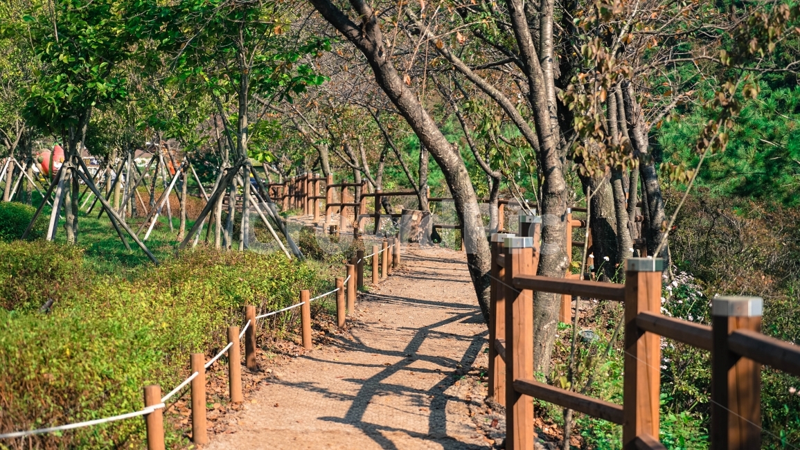 오솔길,산책,나무,가을,정취,자연,풍경,nature,landscape,outdoors,옥외,arbour,정자,garden,정원