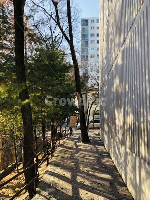 나무,햇빛,식물,산책,아파트,건축물,건물외관,exterior,building,structure,architecture,construction