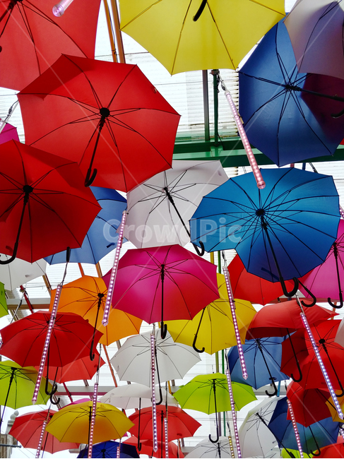 우산,비,다채로운,알록달록,경쾌한,다양한,가림막,장식,rain,canopy,umbrella,배경화면