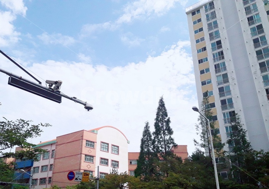 구름,길거리,학교,표지판,나무