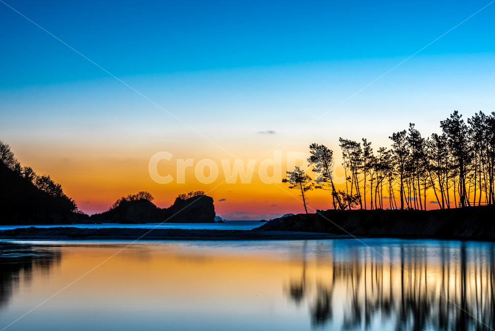 바다,해변,노을,소나무,일몰,자연,풍경,nature,landscape,한국자연풍경,한국자연경관,korea nature landscape,outdoors,옥외,red sky,붉은 하늘,dawn,새벽,dusk,황혼,sunset,sky,하늘