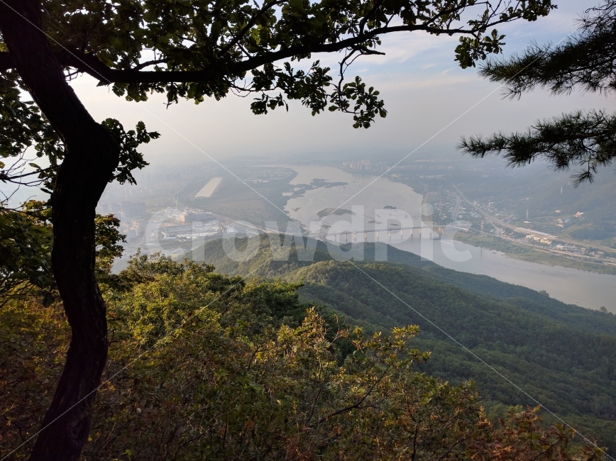 한강,팔당,팔당대교,노을,가을,소나무,전망대,등산,자연,풍경,nature,landscape,한국자연풍경,한국자연경관,korea nature landscape,식물,plants,나무,trees,wood,outdoors,옥외