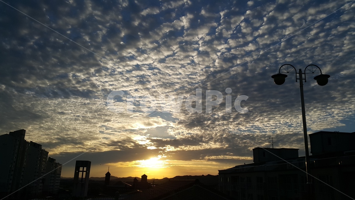 양떼구름,노을,하늘,풍경,sky,도시,풍경,city,landscape,nature,자연,outdoors,옥외,light,빛,flare,플레어,sunlight,햇빛