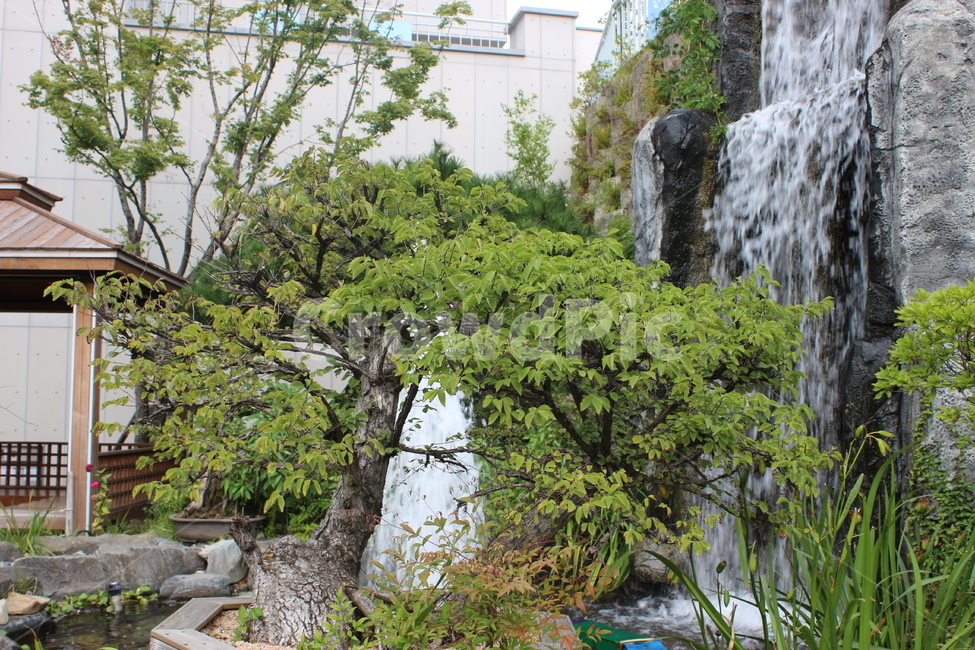 outdoors,river,water,nature,물,강,옥외,자연,폭포,나무,tree,바위
