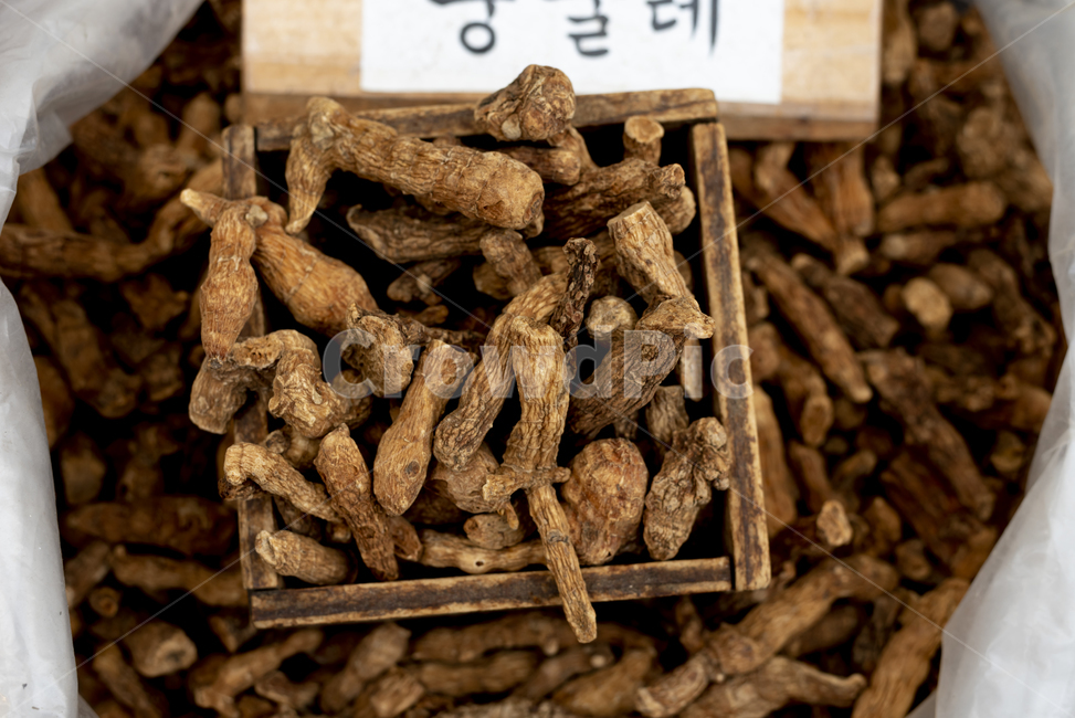 둥굴레,한약재,차,한방,뿌리,식물,한약,식재료,plant,음식,식재료,요리,food,cook,meal,dishes,food reserves