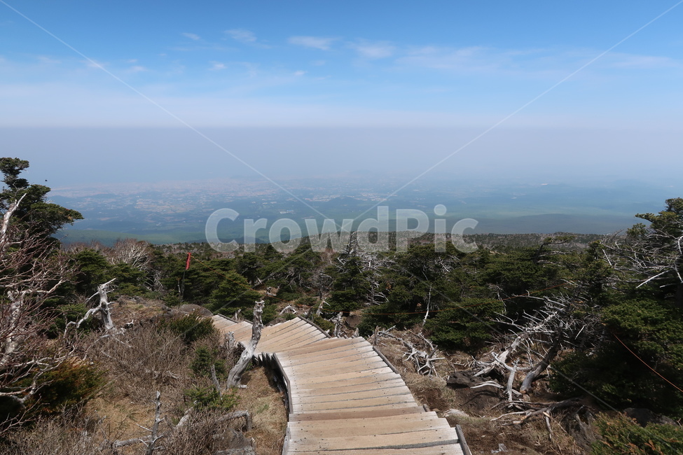 길,산,한라산,mountain,산책로,자연,풍경,nature,landscape,building,건물,bridge,다리,boardwalk