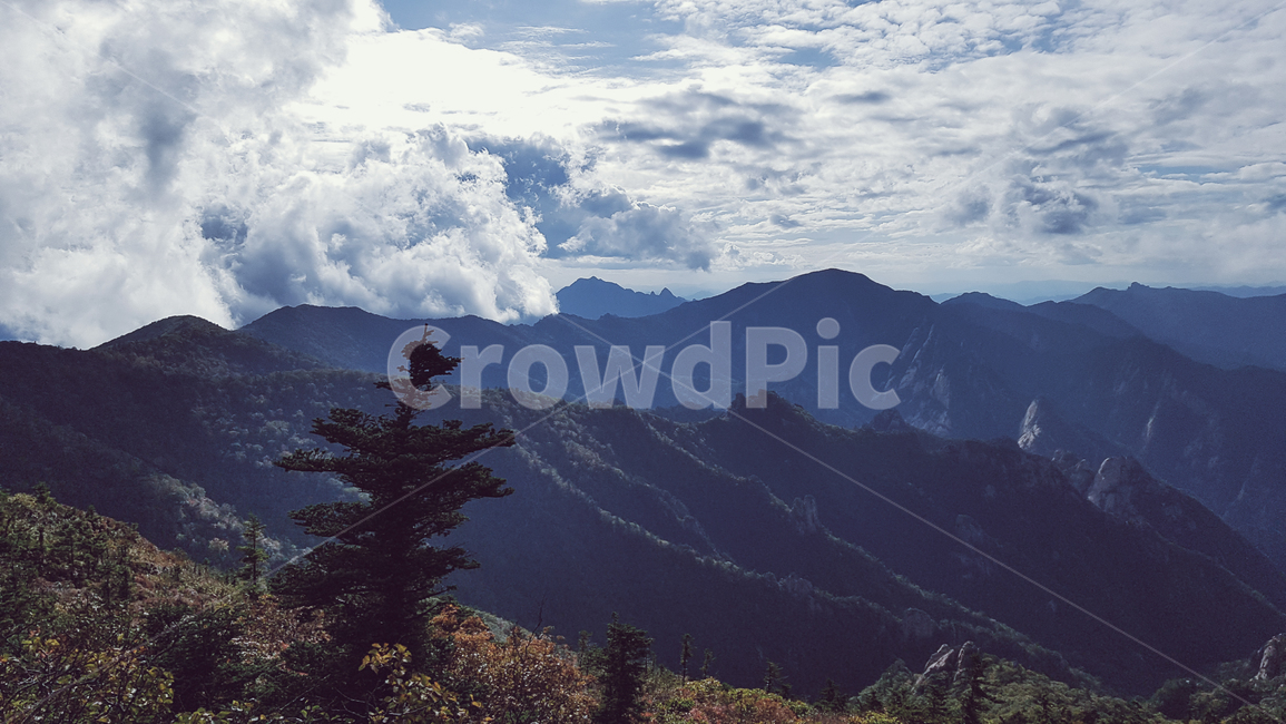 산,구름,자연,수락산,한국자연경관,자연,풍경,nature,landscape,한국자연풍경,한국자연경관,korea nature landscape,tree,나무,plant,식물,fir,전나무,abies,아비