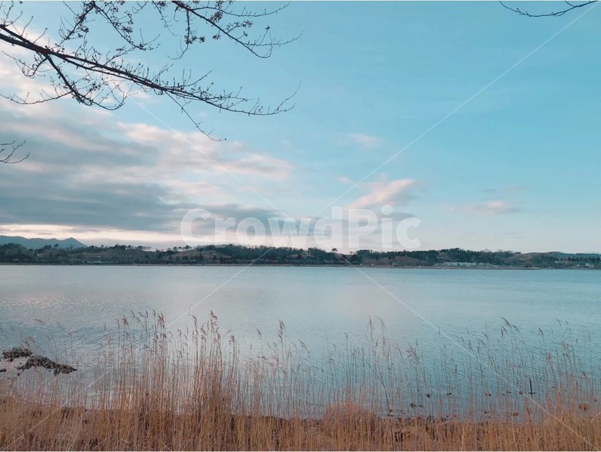 호수,물,자연,풍경,맑은날,하늘,옥외,맑은하늘,구름,갈대,영랑호,속초,water,nature,outdoors,sky,lake,landscape,reed,sunnyday,cloud