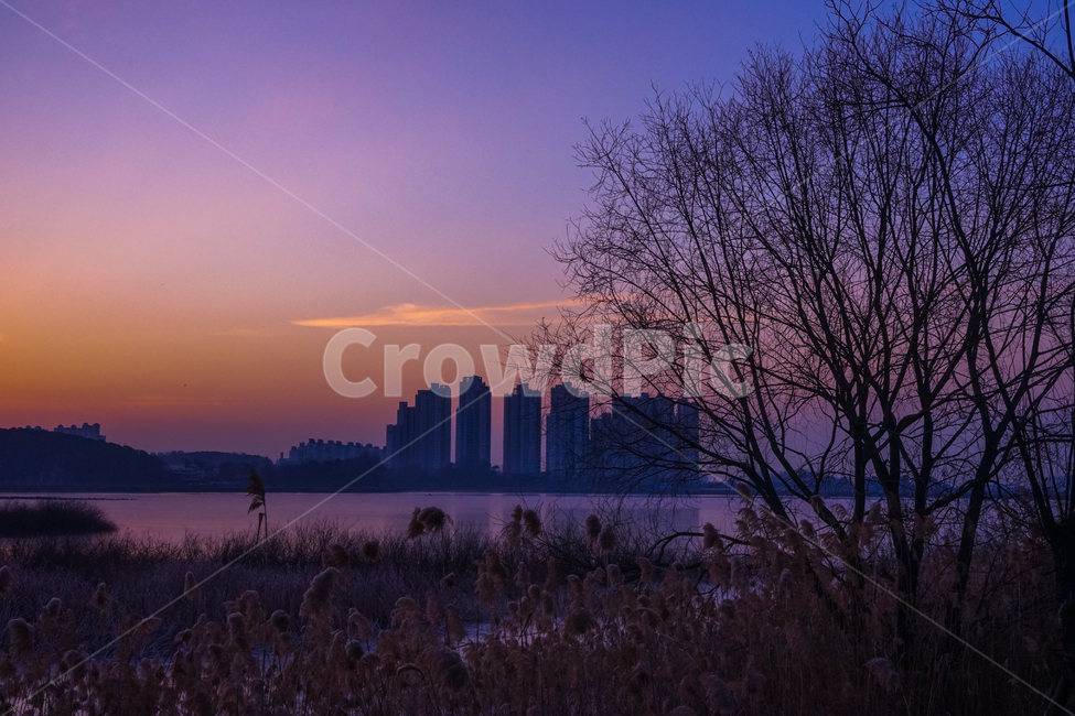 호수,여명,해돋이,나무,식물,겨울,계절,감성,풍경,도시,풍경,city,landscape,식물,자연,plants,nature,나무,trees,wood,실루엣,그림자,silhouette,shadow,grass,잔디,plant,outdoors,옥외,dusk,황혼,dawn,새벽,red sky,붉은 하늘,sky,하늘,sunset,일몰