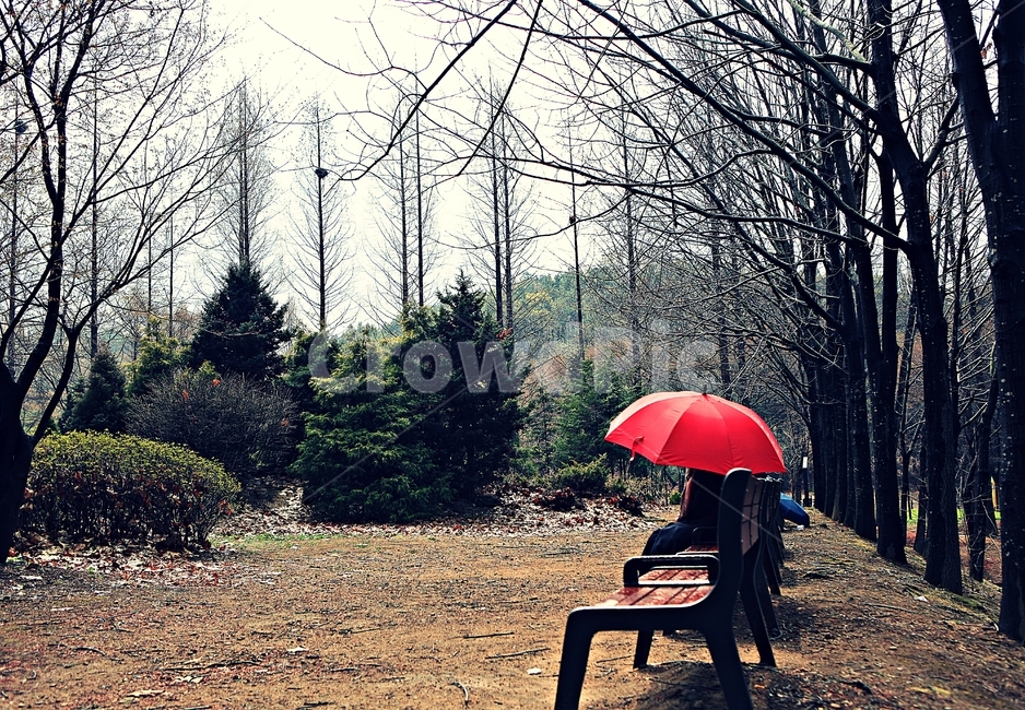 공원,인천대공원,빨강우산,풍경,자연,배경