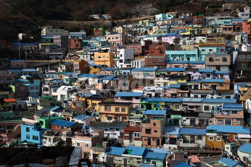 부산,감천,마을,언덕,동네,감천문화마을,골목,풍경,감성,색감,명소,관광지,필수코스,도시,풍경,city,landscape,한국도시풍경,한국도시경관,korea cityscape,urban,어반,building,건물