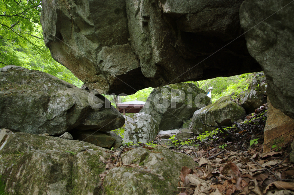 바위,돌,자연,풀,숲,자연,풍경,nature,landscape,bunker,벙커,building,건물,slate,슬레이트