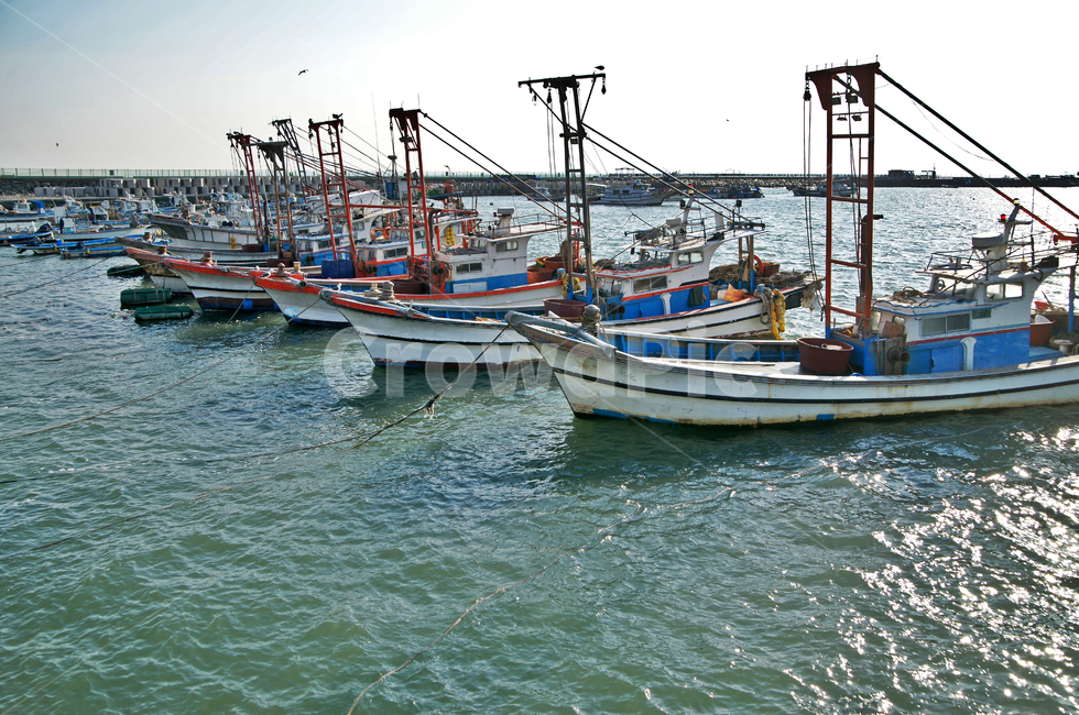 궁평항,화성,방파제,어선,고깃배,정박,바다,산업,industry,industrial,어업,fishery,fishing industry