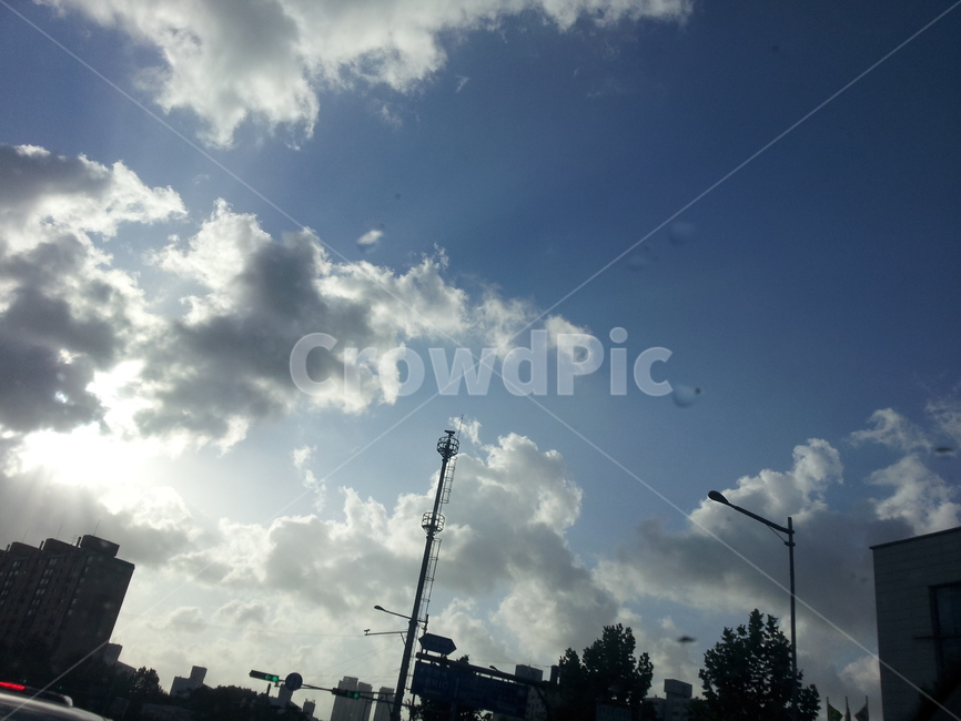 하늘,sky,햇빛,신호등,나무