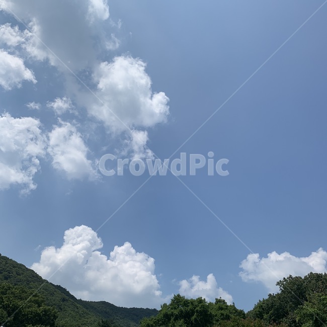 하늘,구름,산,나무,풍경