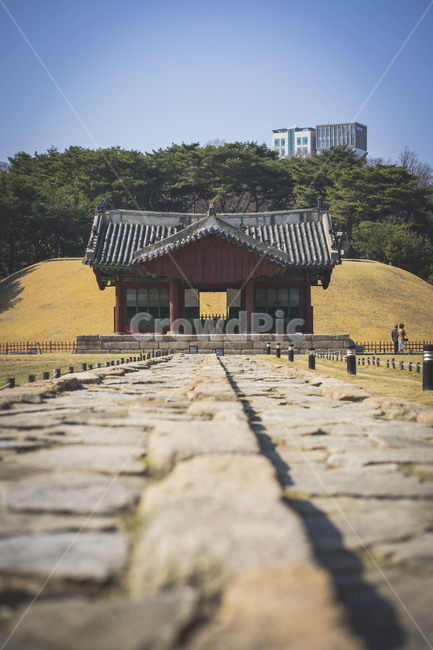 선정릉,왕릉,중종,정릉,정자각,한국전통,한국문화,korean traditional,korean culture,건축물,건물외관,exterior,building,structure,architecture,construction