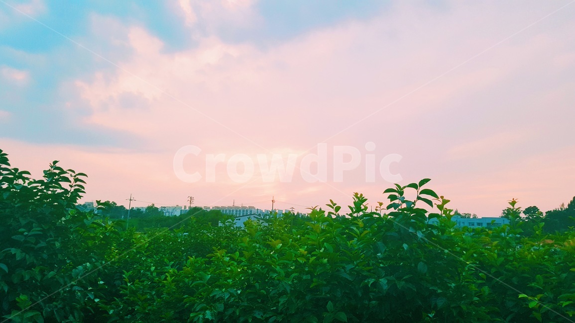 sky,cloud,구름,자연,하늘,노을,자연,풍경,nature,landscape