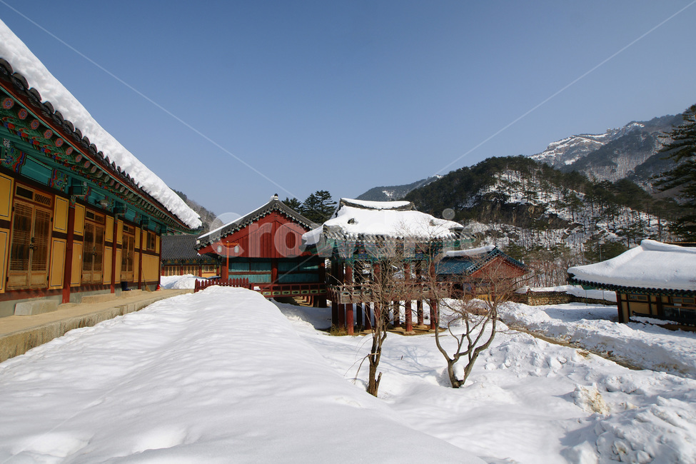 신흥사,설악산,사찰,설경,풍경,겨울,계절,winter,season,한국전통,한국문화,korean traditional,korean culture,건축물,건물외관,exterior,building,structure,architecture,construction