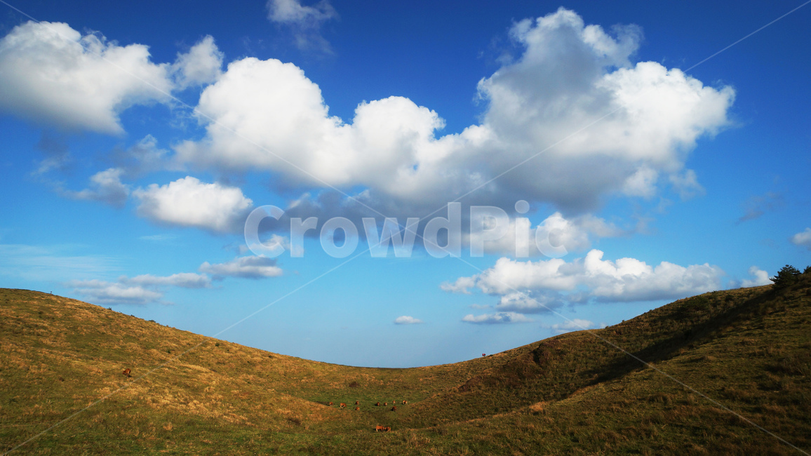 제주도,용눈이오름,용눈이,구좌읍,종달리,오름,중산간,김영갑,자연,풍경,nature,landscape,제주도,jeju,jeju island,outdoors,옥외
