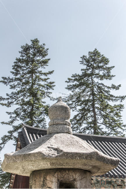 석등,문화유산,사찰,전통,기와,선,한국전통,한국문화,korean traditional,korean culture,종교,신앙,religion,belief,faith,건축물,건물외관,exterior,building,structure,architecture,construction