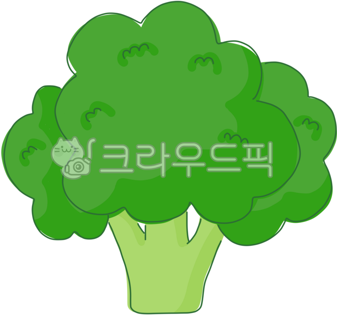 Broccoli,broccoli drawing,broccoli illustration,vegetables,vegetable drawing,vegetable illustration,vegetables,vegetable drawing,vegetable illustration