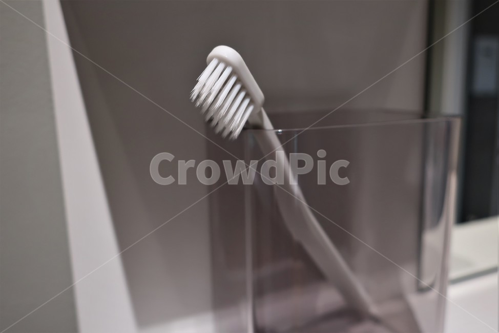 칫솔,양치,치아,건강,청결,충치,예방,사물,물건,오브젝트,사물,물건,오브젝트,thing,object,matter