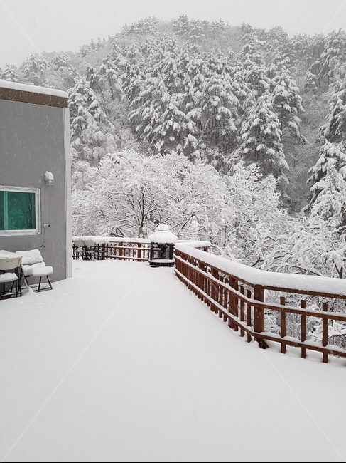 nature,자연,outdoors,옥외,ice,빙,snow,눈,귀촌,귀산