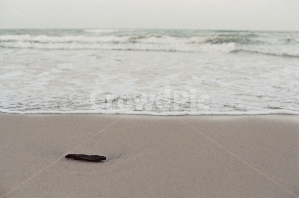 우울,쓸쓸함,파도,바다,필름,나무,모래,모래사장,나뭇가지,해변,해변,바다,beach,sea