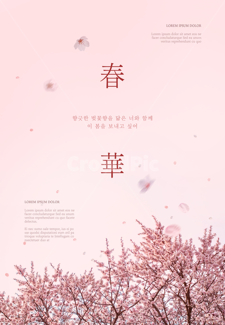 벚꽃,꽃,프레임,봄,감성,봄,계절,spring,season,식물,자연,plants,nature,꽃,flower,그래픽,일러스트레이션,graphic,illustration,plant