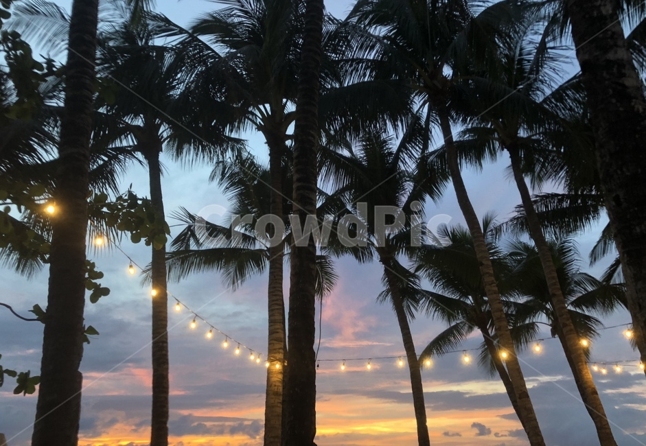 붉은노을,구름,휴양지,하늘,sunset,야자수,동남아시아,해질녘,보라하늘