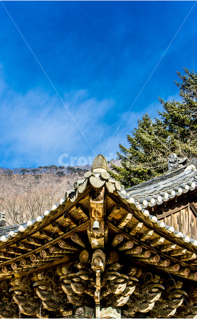 무단청,기와,처마,사찰,문화유산,선,한국전통,한국문화,korean traditional,korean culture,건축물,건물외관,exterior,building,structure,architecture,construction