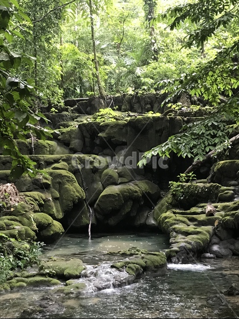 water,흐름,자연,물,outdoors,열대우림,자연,풍경,nature,landscape
