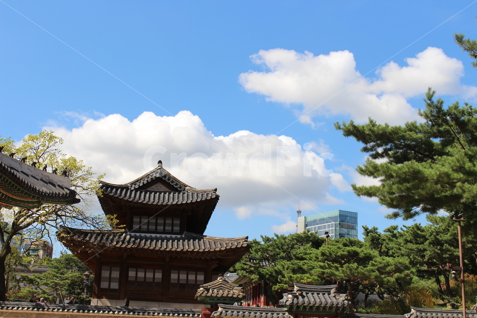 궁,palace,고궁,전통,배경,landmark,조화,하늘,구름,파랑,한국,서울,여행,야외,한국전통,한국문화,korean traditional,korean culture,랜드마크,landmark,tourist attraction,한국랜드마크,한국관광지,한국명소,korea landmark,korea tourist attraction