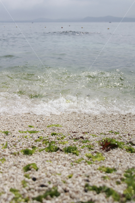 제주우도,해변,모래사장,해수욕장,sand,바다,휴양,휴가,sea,jejusea,자연,풍경,한국자연풍경,한국자연경관,korea,nature,landscape,beach,제주도,jeju,jejuisland,해변,바다,beach,sea