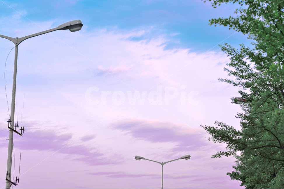 하늘,구름,맑음,파랑,보라,노을,해질녘,매직아워,파스텔,sky,blue,skyblue,clean,sunset,magichour,pastel,자연,풍경,nature,landscape,색깔,색상,색채,색감,color sense,color sensitivity,feeling of color,lamp post,램프 포스트