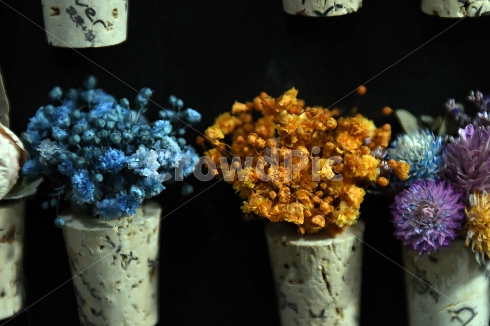 안개꽃,꽃,감성사진,감성,식물,자연,플라워,감정,색깔,색채,색감,칼라,flower,꽃다발,인테리어,소품,사물,기념일,축사,plants,배경화면,안개,nature,주황,보라,파랑,화분,꽃,flower